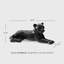 Figurine Borremans Panther