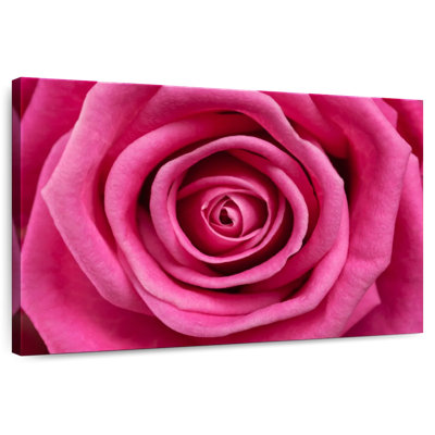 Rose chaud Harnek