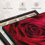 Velours rouge rosé sur toile-102860116