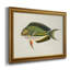 «Tropical Fish Collection I», peinture sur toile encadrée-606946619
