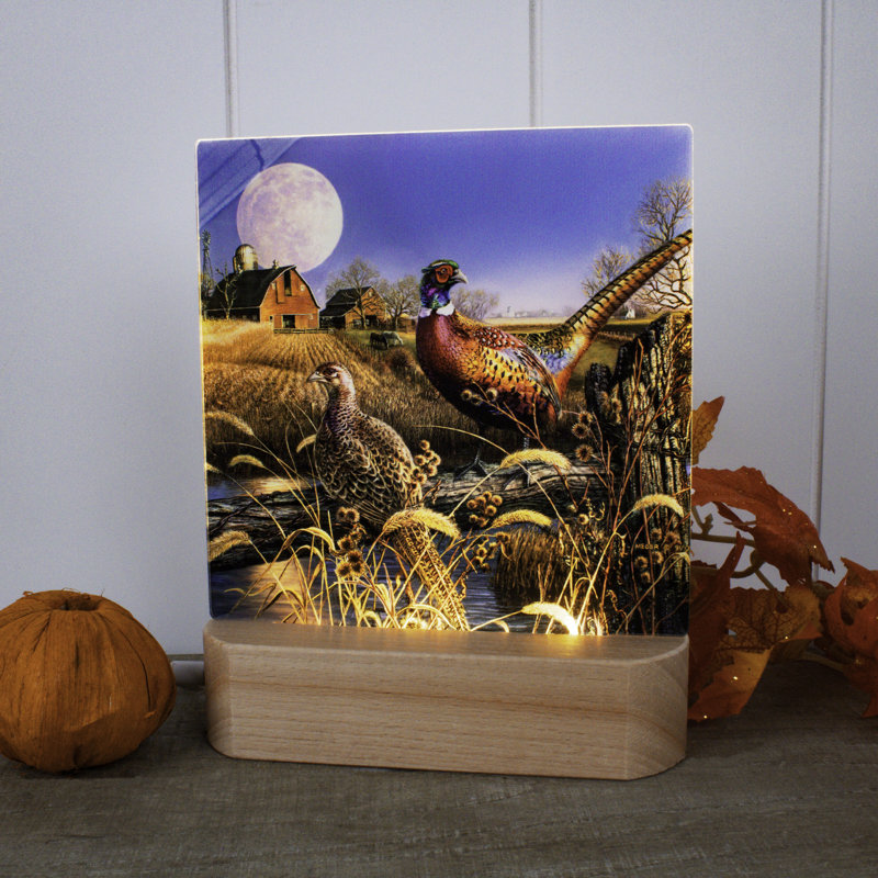 Harvest Moon LED Nightlight