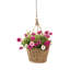 Ayriauna Hanging Planter