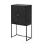 Armoire 31,5 x 16,5 x 60 po, noir