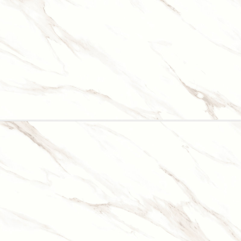 Shandar 24" x 48" Porcelain Marble Look Wall Floor Use Tile, Matte