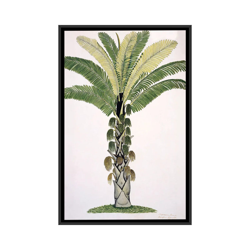 Palmier, œuvre d'art - reproduction d'art murale - toile encadrée, 60" x 40", Framed Canvas, Noir