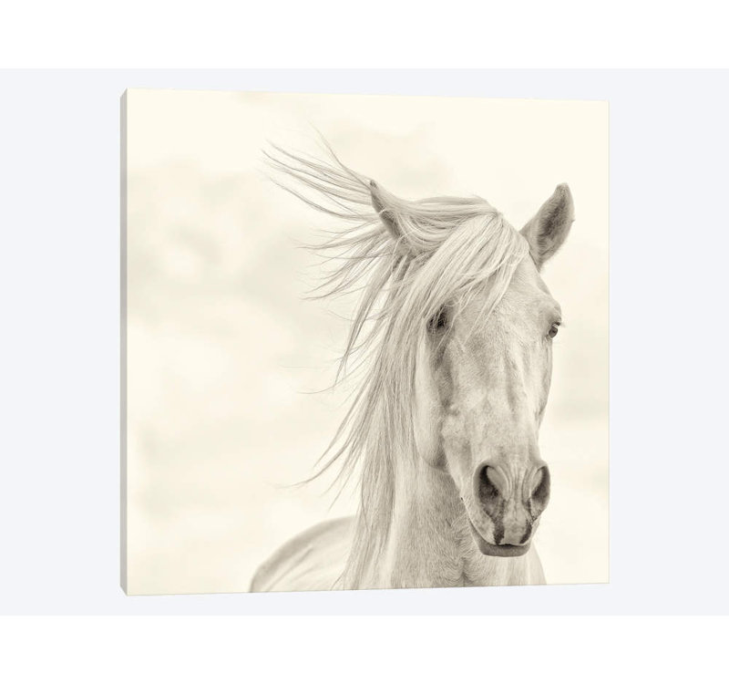 « wind souffled bascule amish i », impression sur toile, H 12 po x l 12 po x P 0,75 po, Toile tendue, Pas de tapis