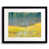 Black Framed Paper is unavailable