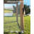 11'X11 Pop-Up Gazebo, Instant Outdoor Canopy Tent with Mosquito Nettings, Durable Steel Frame-125227293
