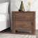 Julius 2 Drawer Nightstand in Brown