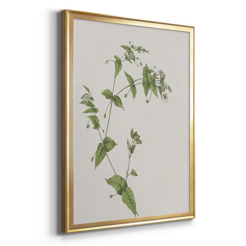 Toile encadrée de qualité supérieure Wispy Botanical I - prête à être accrochée, Cadre doré, H 42,5 po x l 61 po x P 2,5 po
