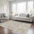  Aleg Area Rug with Non-Slip Backing-1915005