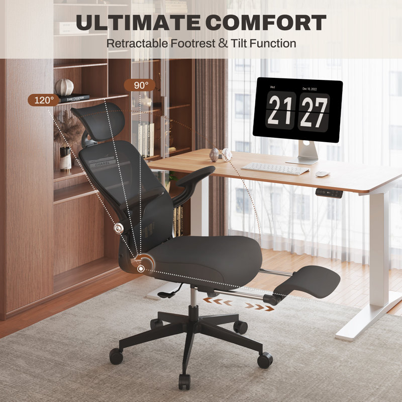 Foldex Ergonomic Office Chair, Folding Office Chair for Small Spaces with Lumbar Support, Black, Black