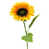 Yellow is out of stock