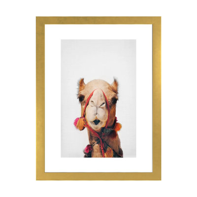 " Camel " by Sisi & Seb
