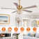 Amboise 52'' Ceiling Fan with Light Kit