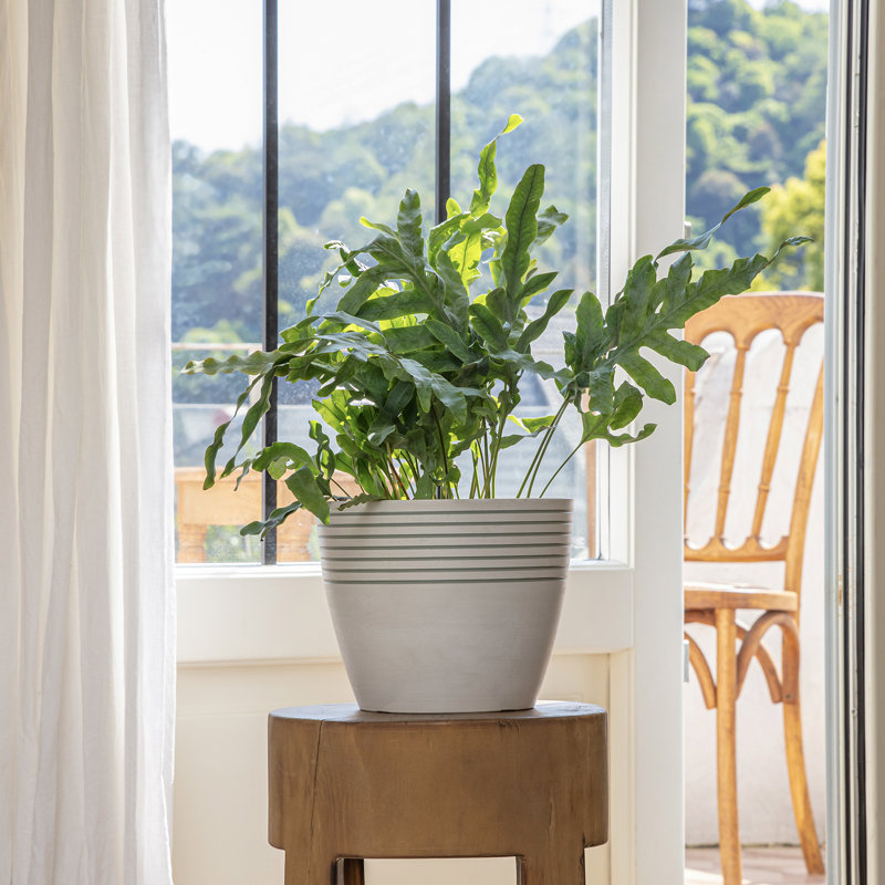 Ensemble de 2 pots à fleurs blancs de 9 pouces