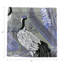 Summer Palace Cotton Sateen Cocktail Napkins-1697934693