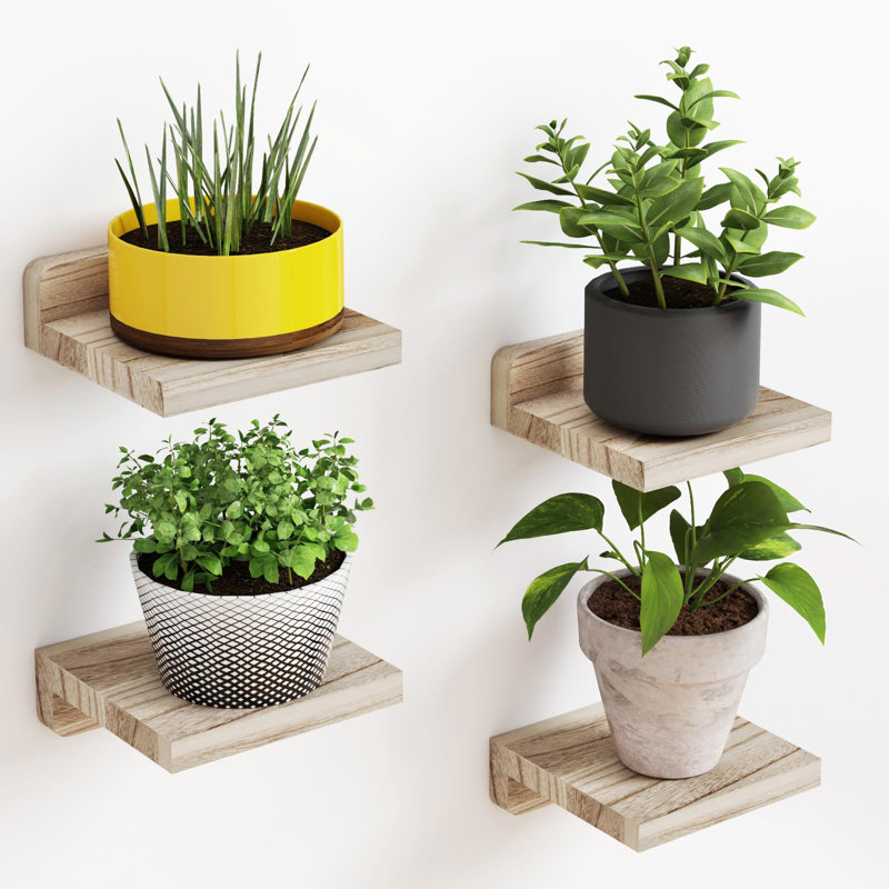 Ottava Square Solid Wood Floating Shelf, Carbonized Black