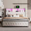 Tavean Upholstered Storage Bed-531196809