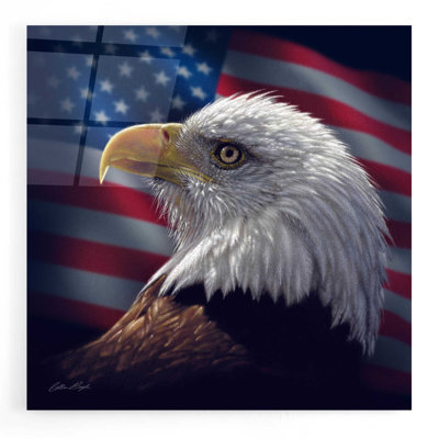 American Bald Eagle par Collin Bogle - impression sans cadre