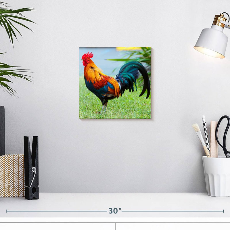 Crowle coq sur l'herbe