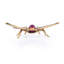 Rosey Moth Objet