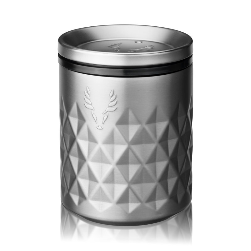 Paragon Stainless Steel Rocks Tumbler in Platinum, Silver