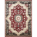 Oriental Area Rug
