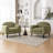Deivi Upholstered Accent Chair with Round Arm-2019053564