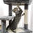 Eresus 44'' H Cat Tree-1367464768