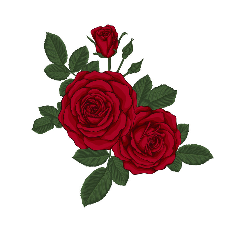 Red Roses - Wrapped Canvas Print, 30cm H x 30cm W x 3.8cm D