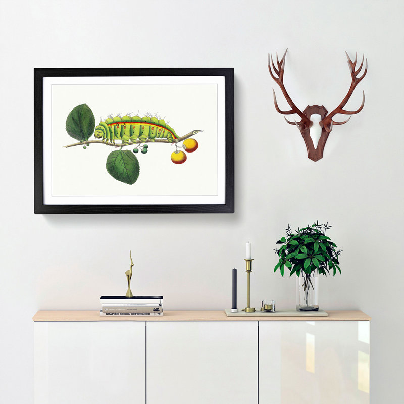 Caterpillar by George Shaw - Framed Print, 27cm H x 36cm W x 2cm D, Black Framed