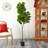 Fiddle Leaf Fig Artificial Tree-984019242