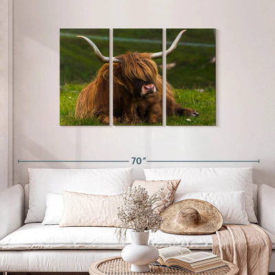 Brampt Highland Cow sur herbe