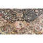 Sona Wool Oriental Area Rug
