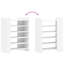 10 Pair Shoe Storage Cabinet-673456749