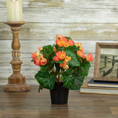 11" Potted Silk Begonia Spring Artificial Floral Arrangement