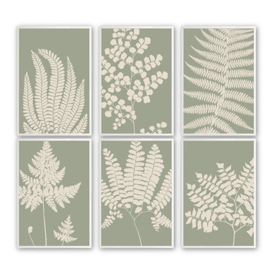 Botanic Harmony In Sage Framed Print Set Of 6 " Botanic Harmony In Sage " 6 - Pieces