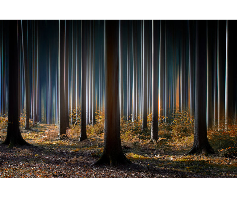 Wrapped Canvas Print, 121.92 cm H x 81.28 cm W