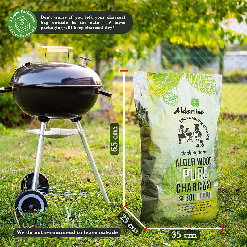 Alderline 4kg Charcoal