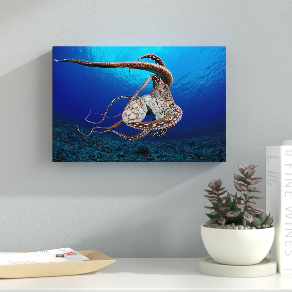 Day Octopus Hawaii by David Fleetham - Wrapped Canvas Photograph Print