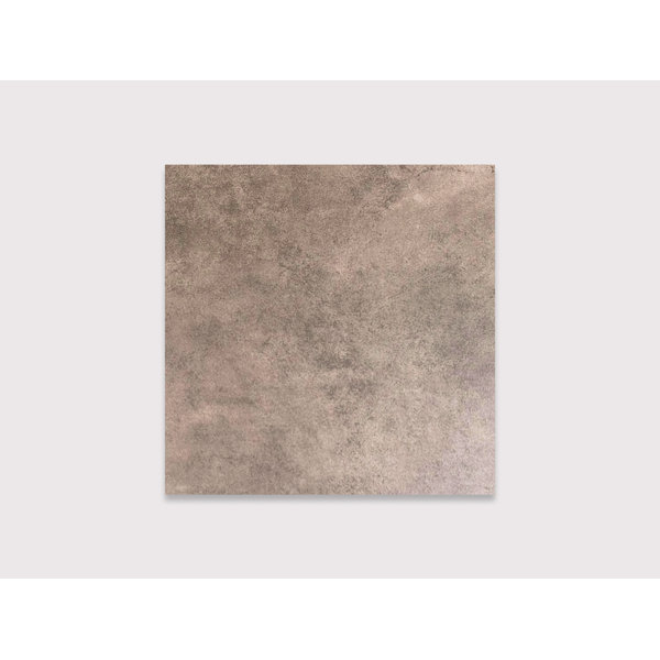 Sable Brown 13" x 13"