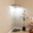 Lighted Corner Cabinet-469934248