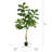 Faux Tree in Pot-27787967