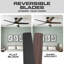 Ventilateur de plafond noir mat 52 po avec pales noyer foncé et lumière DEL Mule