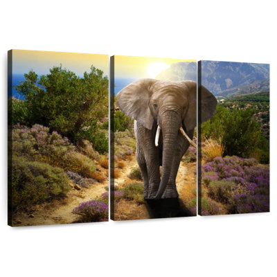 Brampt Elephant Frolicking