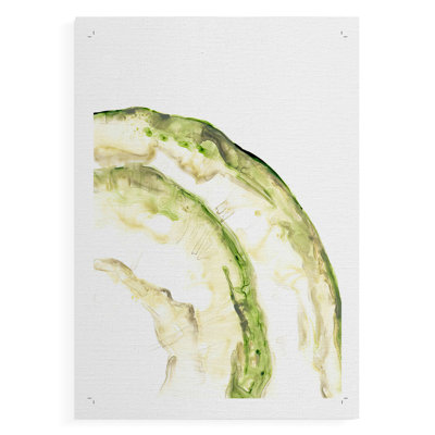 Lichen Halo VI -Canvas Print Only - NOT FRAMED