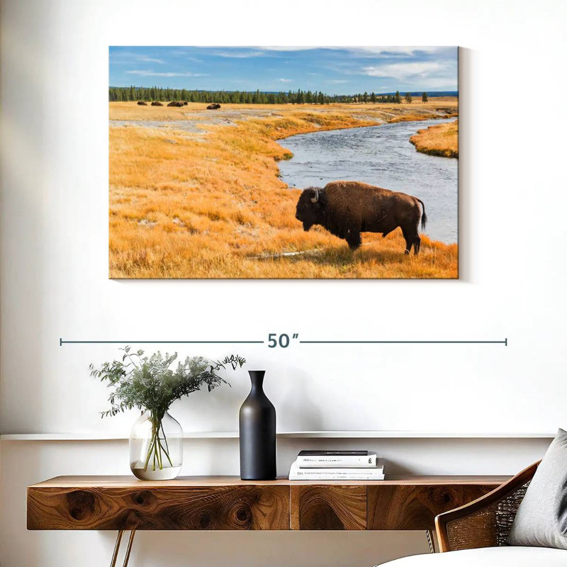 Bison du parc national Brampt, H 26 po x l 39 po