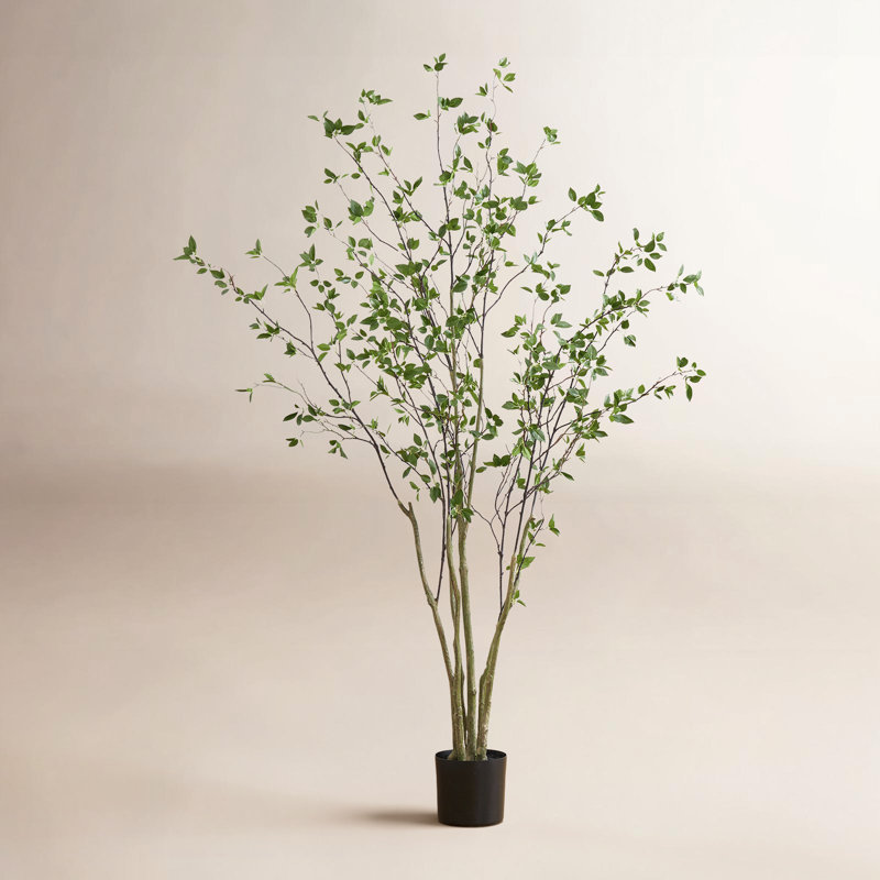 Anzavia 84'' Faux Citrus Tree in Pot