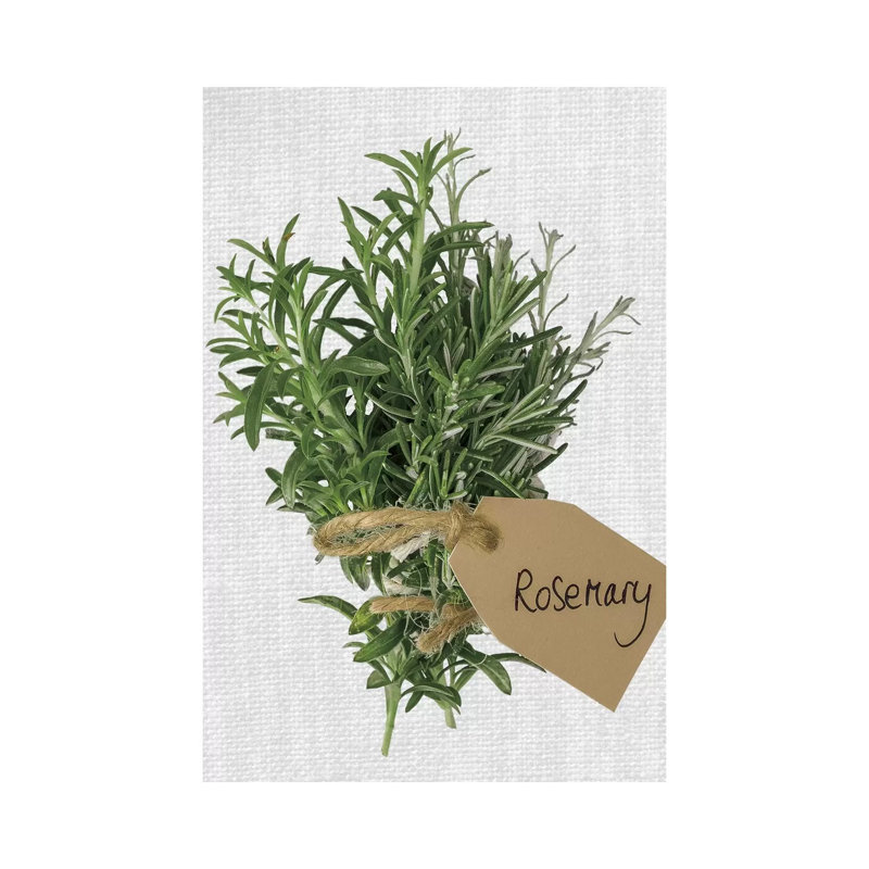 Rosemary by Assaf Frank - Wrapped Canvas Print, 66.04 cm H x 45.72 cm W x 1.91 cm D